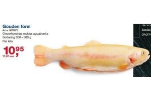 gouden forel