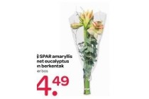 spar bloemen