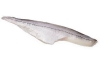 schelvisfilet met vel msc
