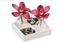 kerststukje met orchideeen
