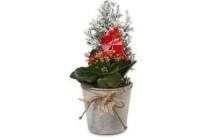 frosted glas met kerstboom