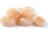 smitvis coquilles