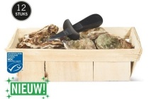 delicieux zeeuwse oesters