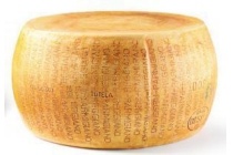 parmigiano reggiano dop