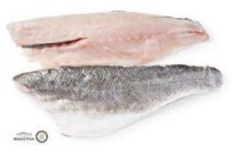 zeebaarsfilet met vel