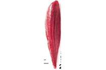 tonijnfilet