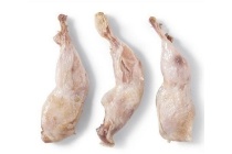 kwartel boutjes