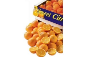 perssinaasappels