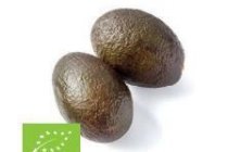 biologische avocado s