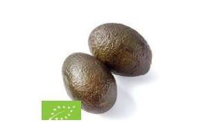 biologische avocado s