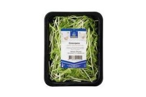 greenpeez erwtenscheuten