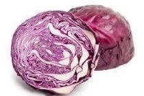 biologische rode kool