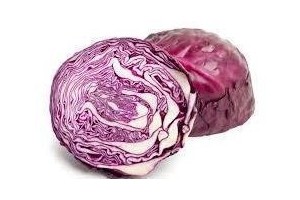 biologische rode kool