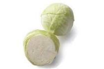 biologische witte kool