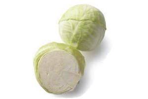 biologische witte kool