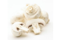 champignons