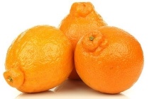 minneola s
