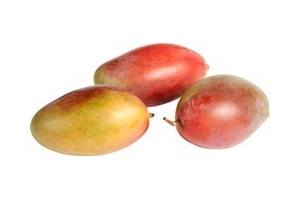 mango kent