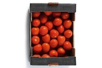 pomodori tomaten