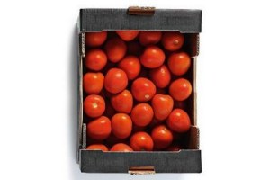 pomodori tomaten
