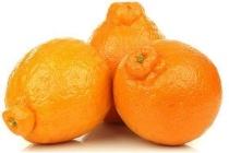 minneola s