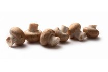 champignons