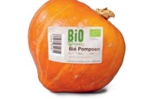 biologische pompoen