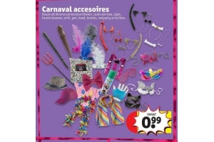 carnaval accessoires