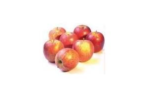 gala appels
