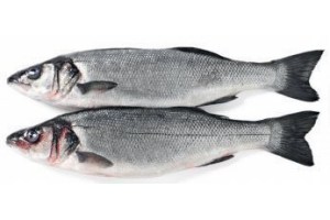 zeebaars
