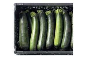 courgette