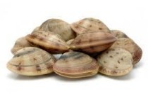 vongole