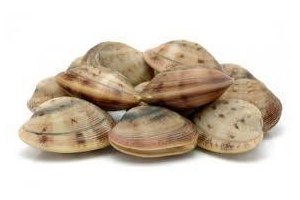 vongole