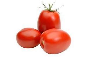 roma tomaten