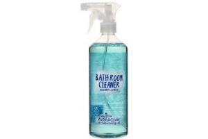 a good clean badkamerreiniger