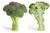 brocolli