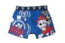 paw patrol boxer