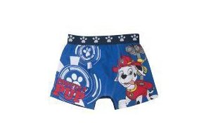 paw patrol boxer