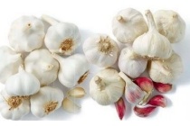knoflook