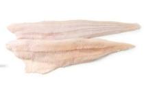 zeewolffilet