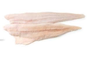 zeewolffilet