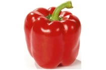 rode paprika