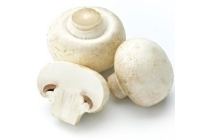 champignons