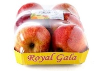 royal gala appelen