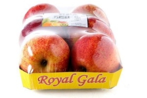 royal gala appelen