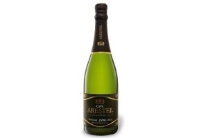 arestel cava extra brut vintage sant sadurni d anoia 2015