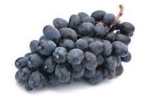 pitloze blauwe druiven