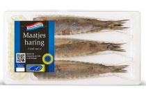 maatjesharing