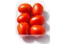 roma tomaten