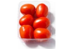 roma tomaten